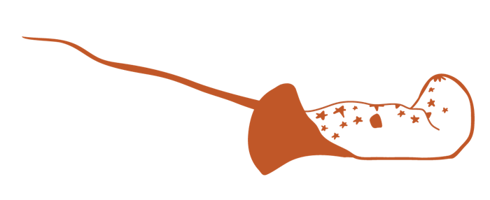 Illustration of the Manta Ray, with a starry back, one of the six Terrat creatures