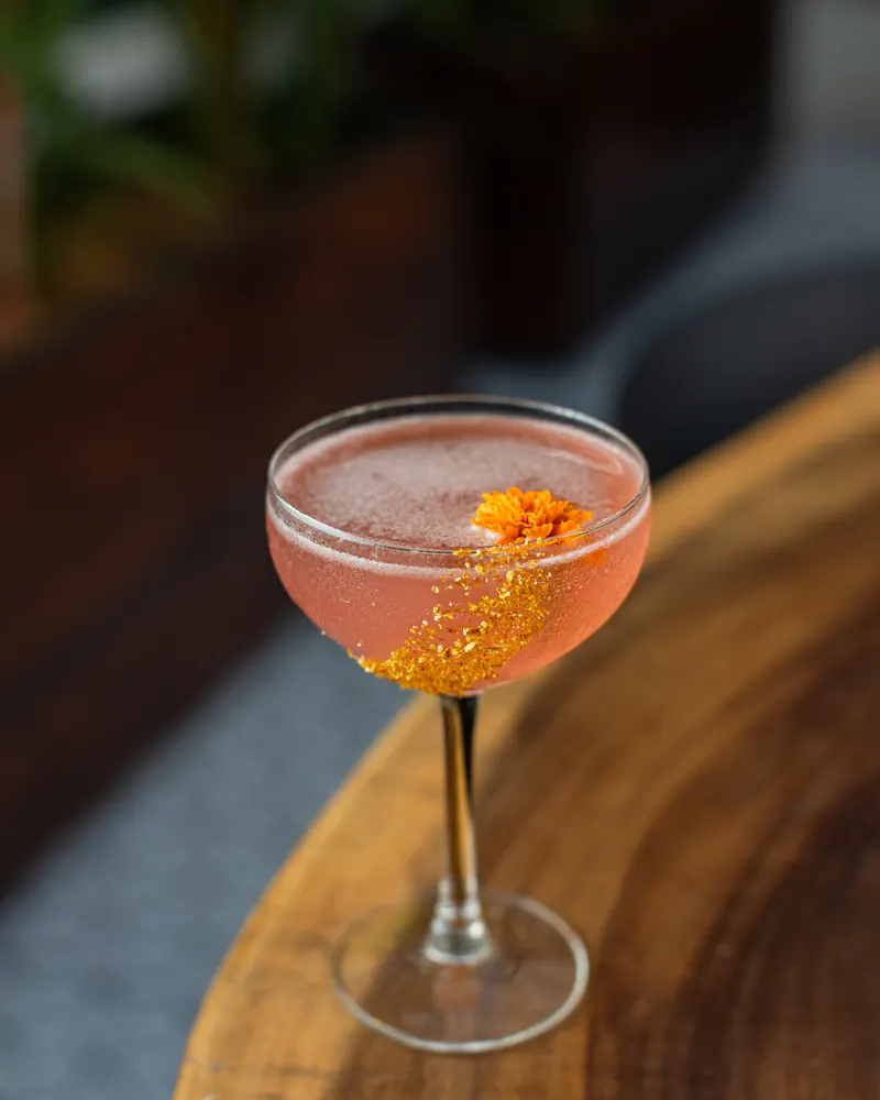 Cocktail in a coupe glass on a wooden bar at Terrat Rooftop
